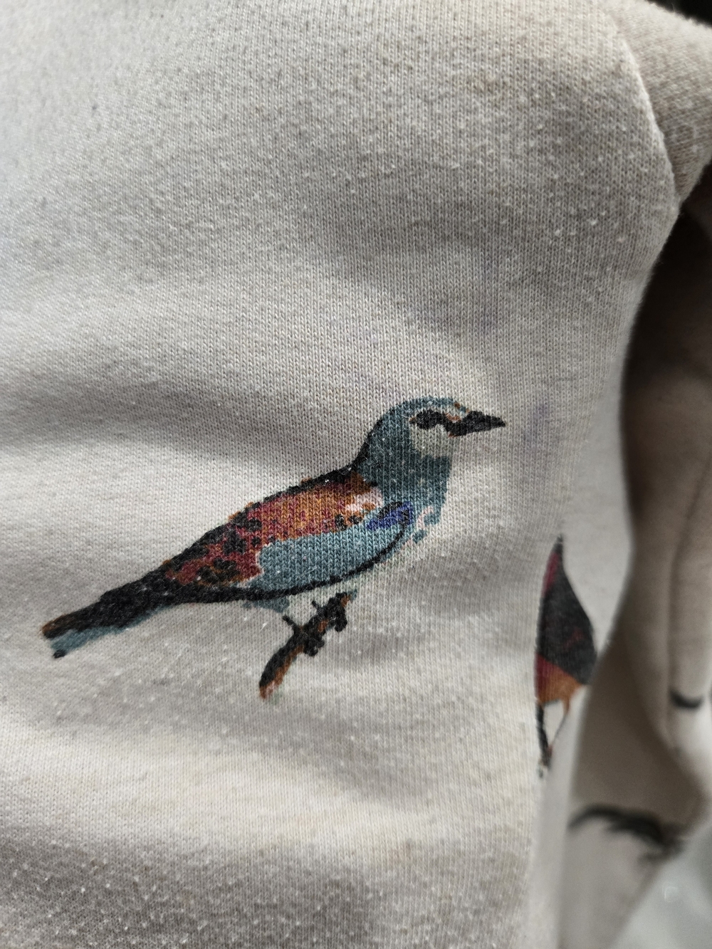 Twik Beige Crewneck Sweatshirt with Colorful Bird Print Organic Cotton - Picture 6 of 7
